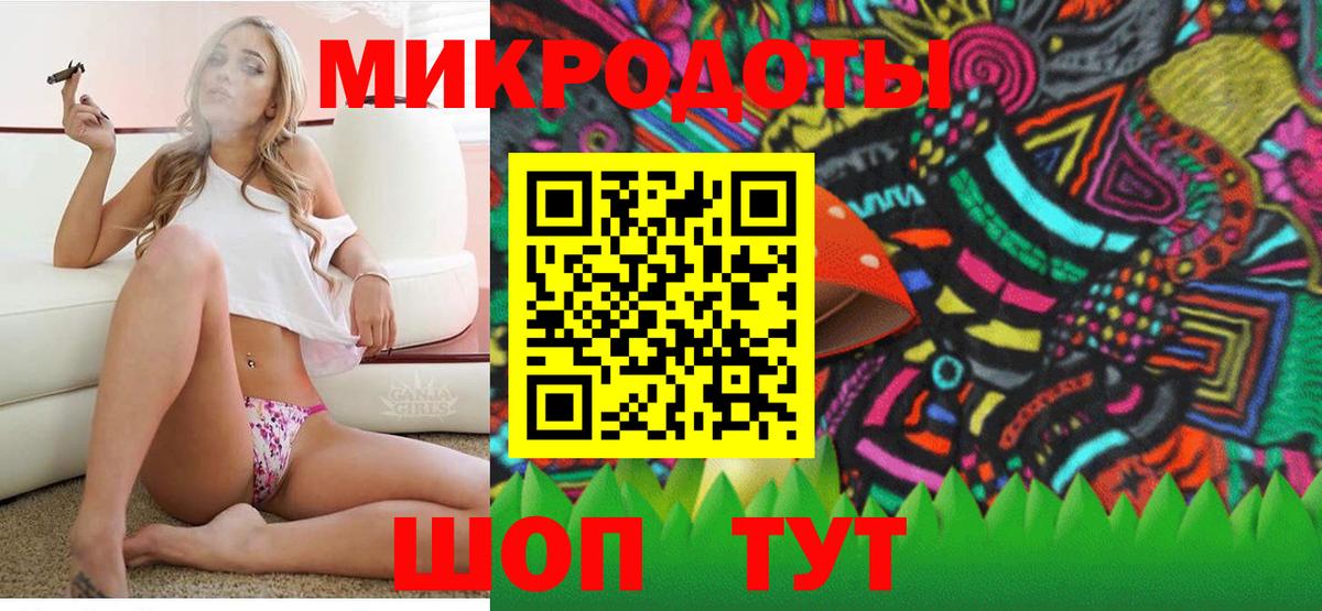 Галлюциногенные грибы Psilocybe  Вход с VPN  Черняховск 