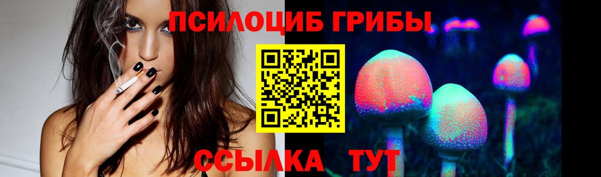 Галлюциногенные грибы ЛСД Черняховск